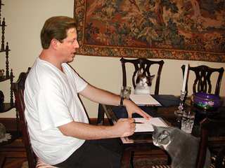 Gore confers with top advisors Simba and Stripe.